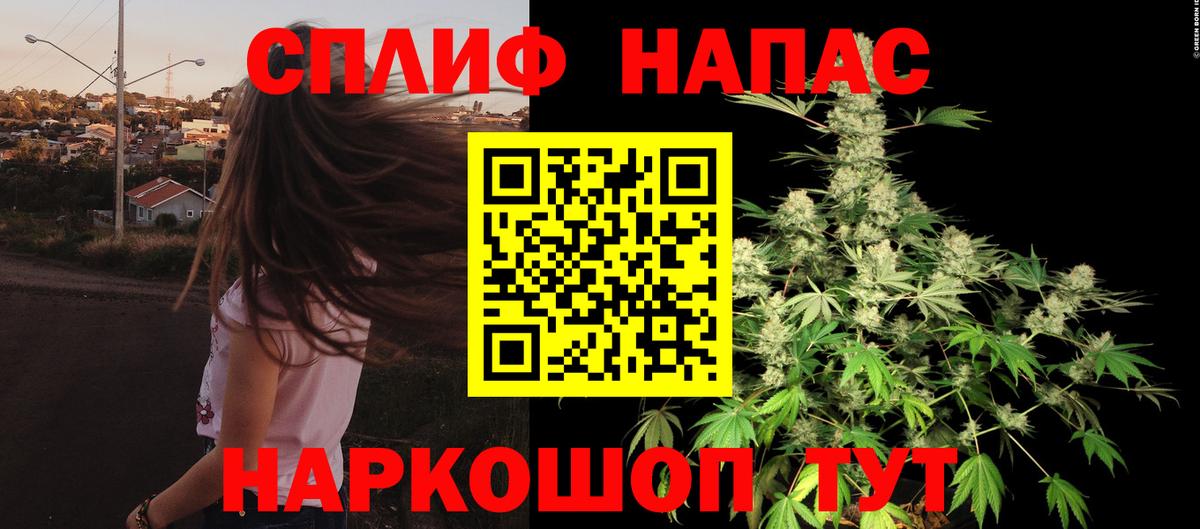 Канабис конопля Кольчугино